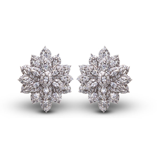 Earrings - E1248
