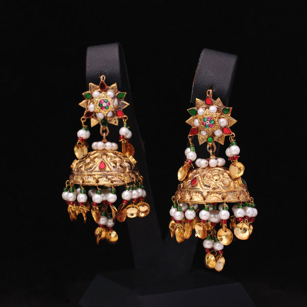 Earrings - E1009