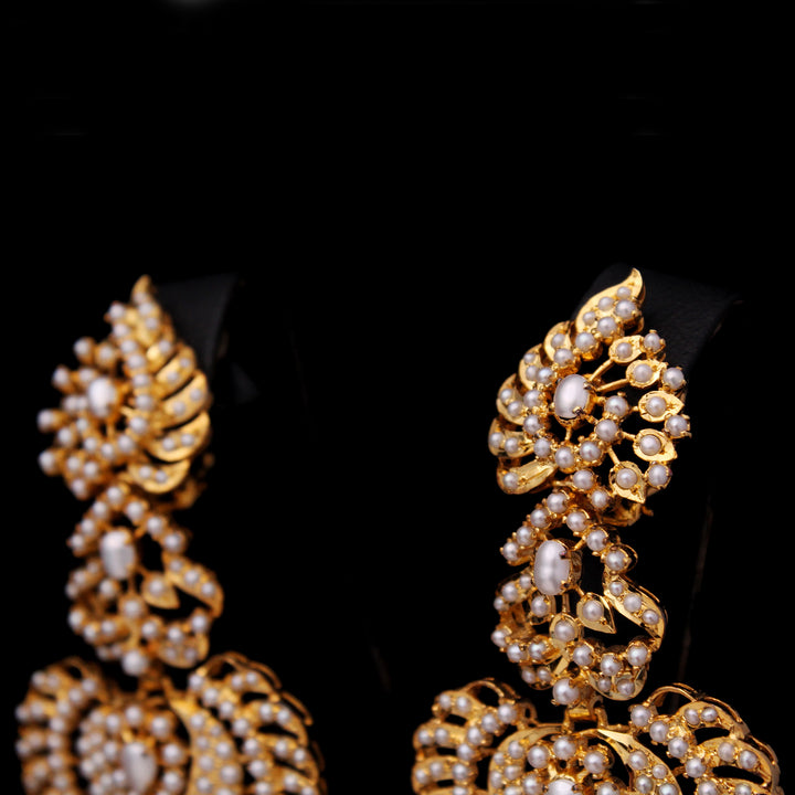 Earrings with Pearls (6239992807607)