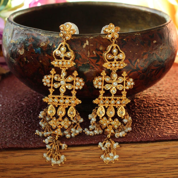 Earrings with Pearls (6239969575095)