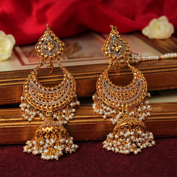 Earrings with Pearls (6239977570487)